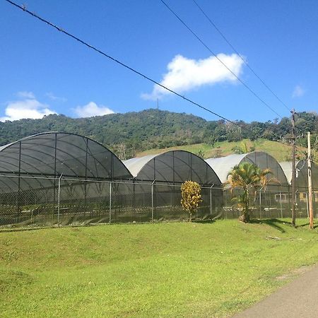 Parador Villas Sotomayor Adjuntas Exterior photo