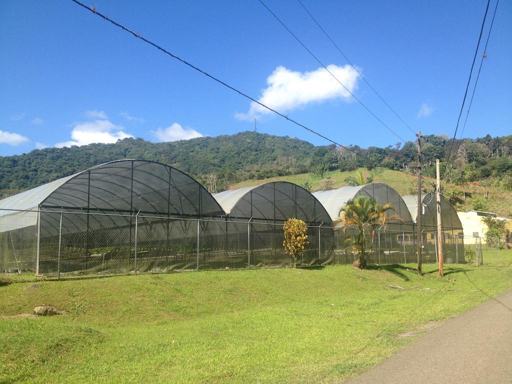 Parador Villas Sotomayor Adjuntas Exterior photo